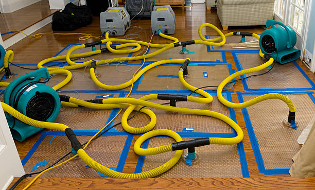 Professional Flood Damage Restoration technician working in West Salem, OH