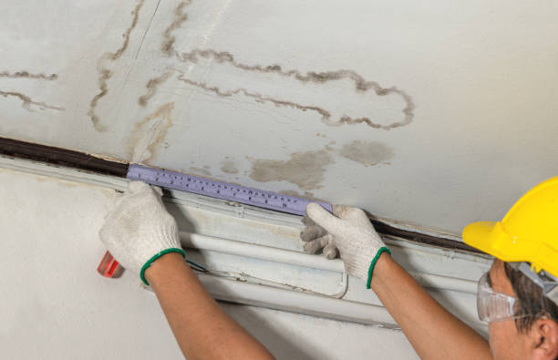 Affordable Water Damage Repair solutions in West Salem, OH